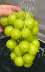 [자연맛남] 명품 샤인머스켓 선물세트 2kg (2-3수/에어포장) - NS홈쇼핑