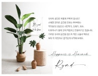 텐바이텐 10X10 : 골든볼 윈터 부쉬 조화