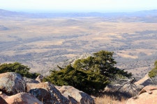 Oklahoma Pictures (Caddo, Redbird: horseback, hunting, America) - (OK) - Page 75 - City-Data Forum