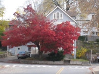  57.) Westchester: Hastings-on-Hudson, Ardsley-on-Hudson, Dobbs Ferry - SkyscraperCity
