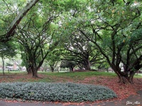  COLOMBIA | Cali, la sucursal del cielo | Cali, a sucursal do céu - Page 81 - SkyscraperCity