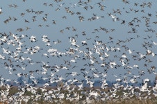 Potw #37 16/11/08 - 30/11/08 - PentaxForums.com