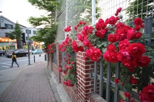  Post your Seoul 서울 Pics III - Page 18 - SkyscraperCity