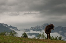  [AL/RKS] Parqet Kombëtare | National Parks - Page 8 - SkyscraperCity