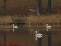 Photo of the Week #302- 09 February 2014-23 February 2014 - PentaxForums.com