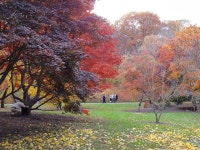 Boston Photo Thread (Cambridge, Lynn, Adams: areas, build, photographs) - Massachusetts (MA) - Page 26 - City-Data Forum