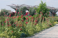 KJCLUB - 일본과 깊은 관계가 있는 은강의 풍경   