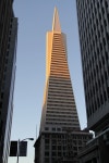  Transamerica Pyramid l SAN FRANCISCO l 260m l 48fl - Page 21 - SkyscraperCity
