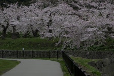  JAPAN 2013 by quashlo | 梅雨入り前の一人旅 - Page 11 - SkyscraperCity