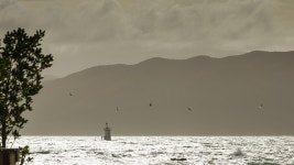 Wellington: San Fran meets Hong Kong in New Zealand - Page 4 - SkyscraperCity
