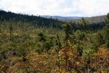  BELIZE | Natural Landscapes - SkyscraperCity