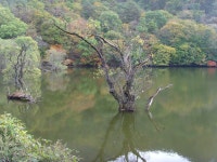   주산지 와 얼음골 폭포 :: 보드나라- 사는이야기