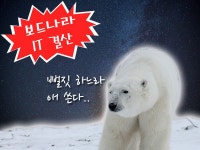   1월 마지막주 용산 시장동향 :: 보드나라