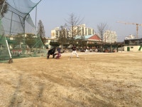 풀무원 핑크싹스 Gameone | 사회인야구 기록 플랫폼