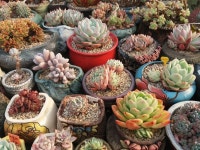 드래비츠 Gameone | 사회인야구 기록 플랫폼