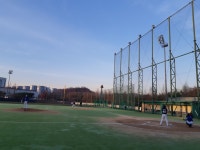 TTA 브레이커스 Gameone | 사회인야구 기록 플랫폼