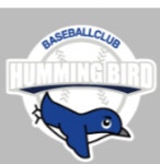 Hummingbird Gameone | 사회인야구 기록 플랫폼