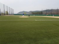 게임원 7월23일11시겜(화성리그 인조잔디 비봉구장 확보)2~3부 수준팀 구함