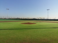 게임원 시흥 에코피아 야구장 심판필요한신팀 연락주세요^^