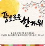 게임원 대구 스포츠 교육 멀티 파크(SEMP)/샘프