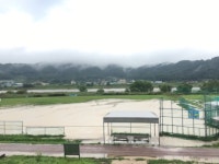게임원 대전광역시야구소프트볼협회리그