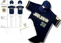 게임원 금산군야구연합회