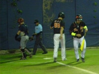 게임원 대지메이저리그