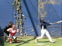 게임원 대지메이저리그