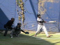 게임원 대지메이저리그