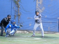 게임원 대지메이저리그