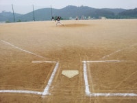 자유로통일리그 주말 야구를 즐기는 사람들