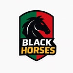 블랙 홀시스 Gameone | 사회인야구 기록 플랫폼