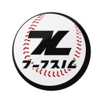 게임원 극진리그