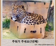 제목학원 레전드모음.jpg - 인스티즈(instiz) 이슈 카테고리 제목학원 레전드모음.jpg