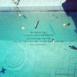 하루에 한줄.jpg (꽃이 아름다운 이유) - 인스티즈(instiz) 이슈 카테고리 하루에 한줄.jpg (꽃이 아름다운 이유)