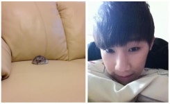 진짜 햄찌랑 햄찌ヮ ´ - 인스티즈(instiz) JYJ 카테고리