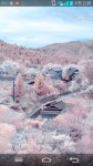 내 핸드폰배경화면 4.0 - 인스티즈(instiz) 일상 카테고리
