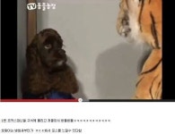하룻강아지 범 무서운줄 모른다를 가지고 실험한 동물농장 - 인스티즈(instiz) 이슈 카테고리