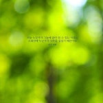 힘들 때 두고두고 보면 좋을 마음이 힐링되는 명언들 모음.jpg... 이슈 카테고리 힘들 때 두고두고 보면 좋을 마음이 힐링되는 명언들 모음.jpg