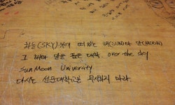 다시는 선문대학교를 무시하지 마라 - 인스티즈(instiz) 이슈 카테고리
