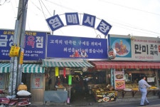 대구의 골목문화.jpg - 인스티즈(instiz) 이슈 카테고리 대구의 골목문화.jpg