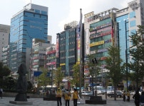 우리나라 지방 번화가 (스압) - 인스티즈(instiz) 이슈 카테고리 우리나라 지방 번화가 (스압)