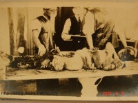 일본 731부대 문서공개 - 인스티즈(instiz) 이슈 카테고리 일본 731부대 문서공개