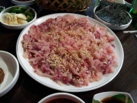 민물고기 회.jpg - 인스티즈(instiz) 이슈 카테고리 민물고기 회.jpg