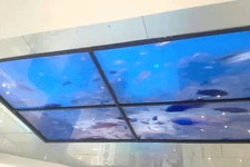 창원 합성동 지하상가 리모델링 전,후 - 인스티즈(instiz) 이슈 카테고리