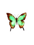 당신을 위한 힐링 100선 #041 수채화 - 인스티즈(instiz) 이슈 카테고리 당신을 위한 힐링 100선 #041 수채화