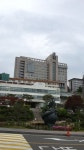 중앙대학교(흑석동) - 인스티즈(instiz) 이슈 카테고리
