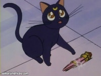 세일러문 리메이크 신작 변신장면 - 인스티즈(instiz) 인티영상 (종료) 카테고리 세일러문 리메이크 신작 변신장면