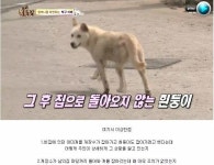 논란이 되고 있는 7월 13일자 동물농장 - 인스티즈(instiz) 이슈 카테고리