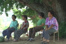 KMDb - 한국영화데이터베이스 